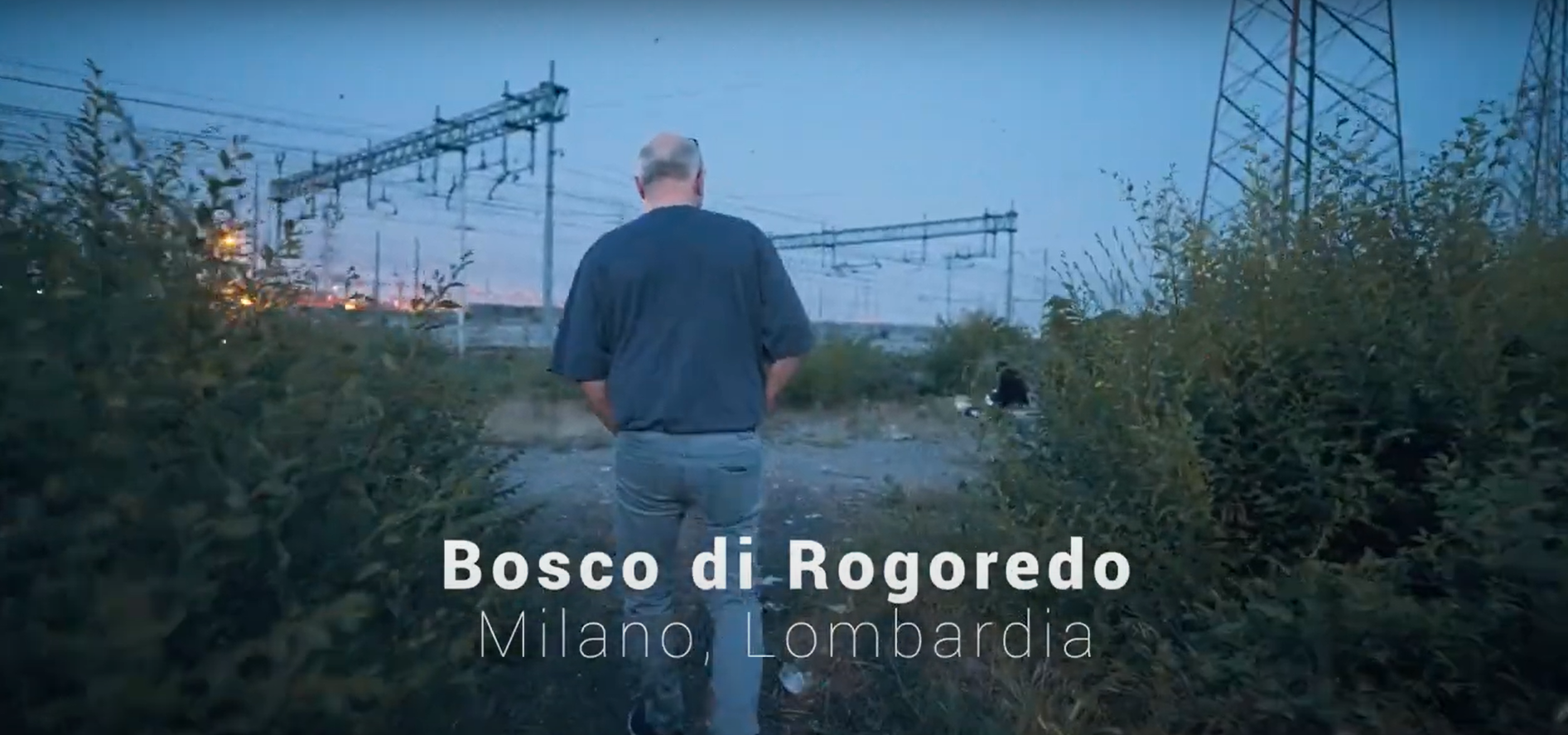 Reportage del volontariato al bosco di Rogoredo